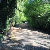Stella Rheni Allee Zufahrt