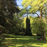Stella Rheni Blick in den Park
